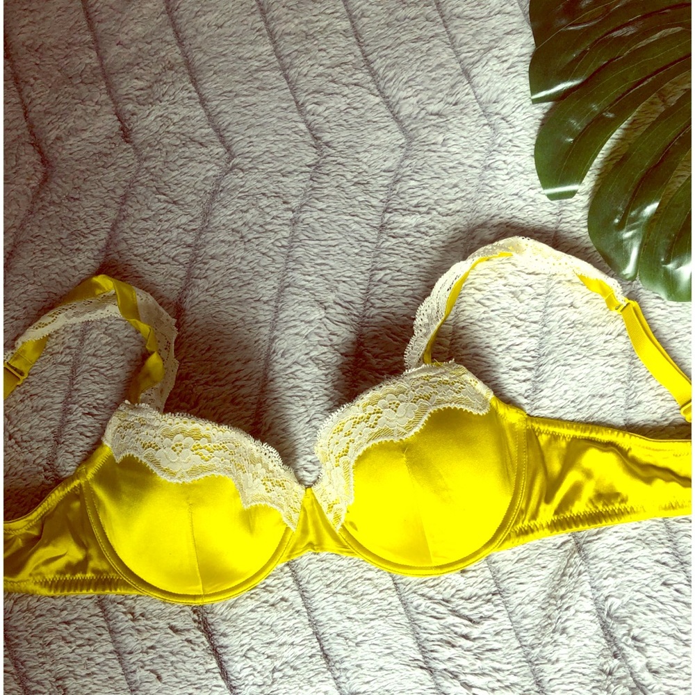 Stella McCartney real silk bra. Never worn